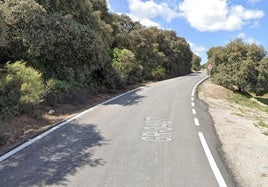 Carretera GR-3407, en la que tuvo lugar el accidente.