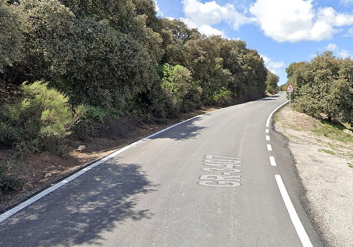 Carretera GR-3407, en la que tuvo lugar el accidente.