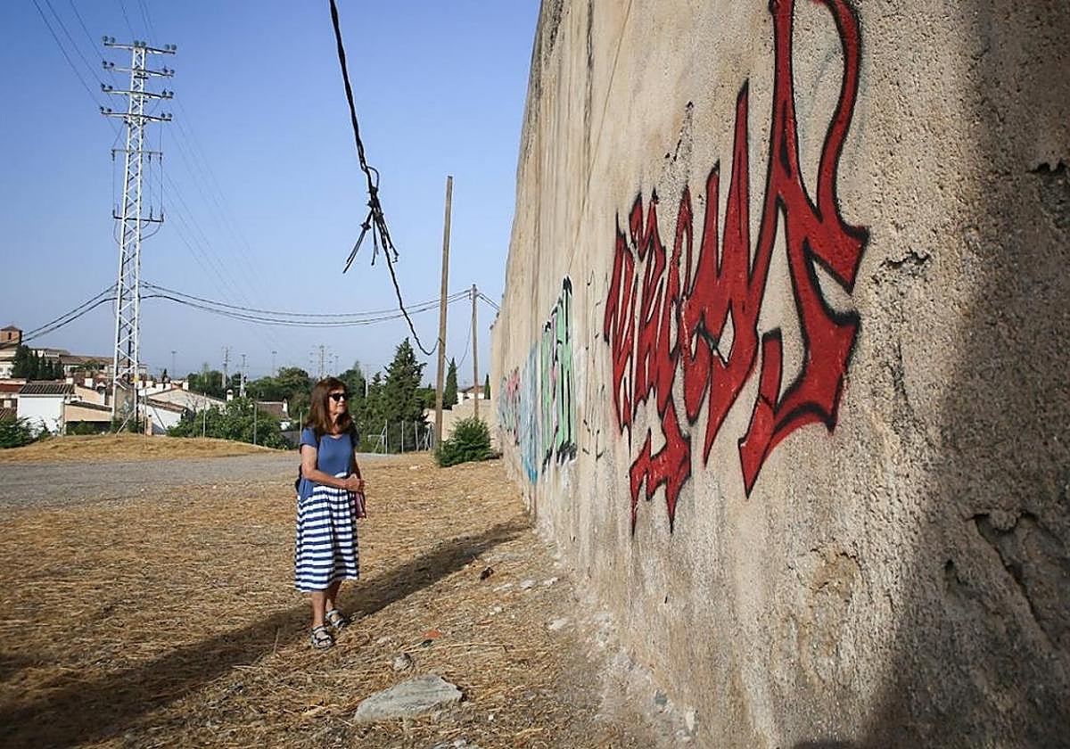 Una pintada aparecida, hace unas semanas, en la Muralla de la Alberzana.