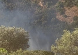 Estabilizado el incendio forestal en Navas de San Juan