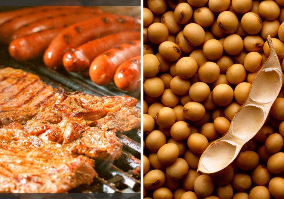 Harvard señala los alimentos que pueden causar cáncer de próstata a partir de los 50