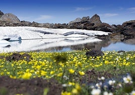 Granada, sueños que se viven