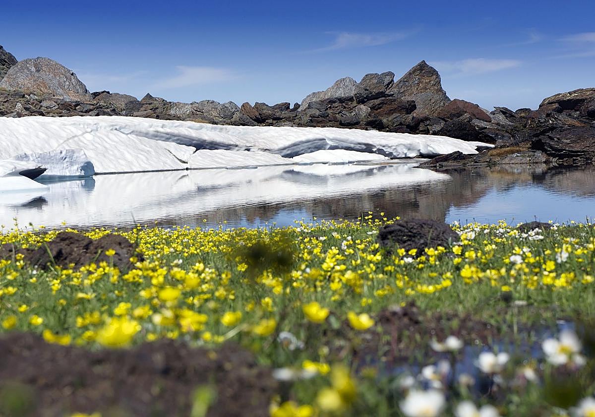 Granada, sueños que se viven