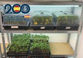La Policía desmantela 10 redes de narcos en Granada y Motril en junio con 31 detenidos