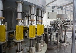 Envasado de botellas de aceite en una imagen de archivo.