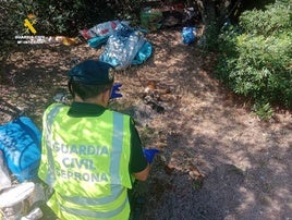 La Guardia Civil detiene al hombre que abandonó a 10 cachorros de podenco en una bolsa a 38 grados.