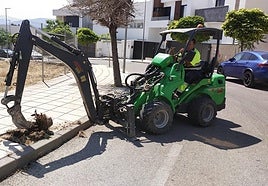 Operario arranca un tocón de raíz.