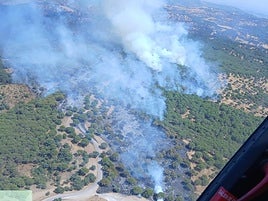 Vista aérea del incendio.