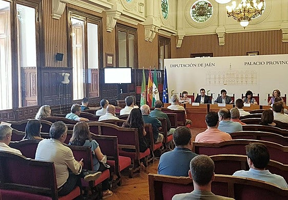 Celebración del Consejo de Alcaldes y Alcaldesas.