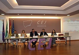 Reunión de la junta directiva de la CEJ.