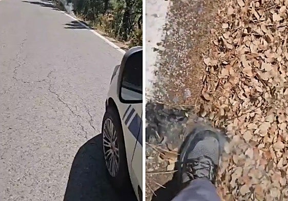 El conductor que evitó un incendio en Andalucía al ver humo en la carretera y apagar un cigarro