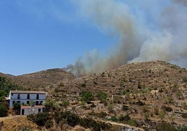 Imagen del área forestal de Lubrín afectada por el incendio.