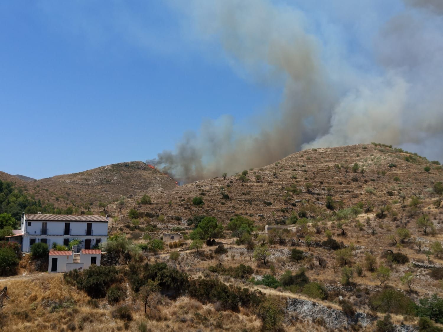 Imagen del área forestal de Lubrín afectada por el incendio.