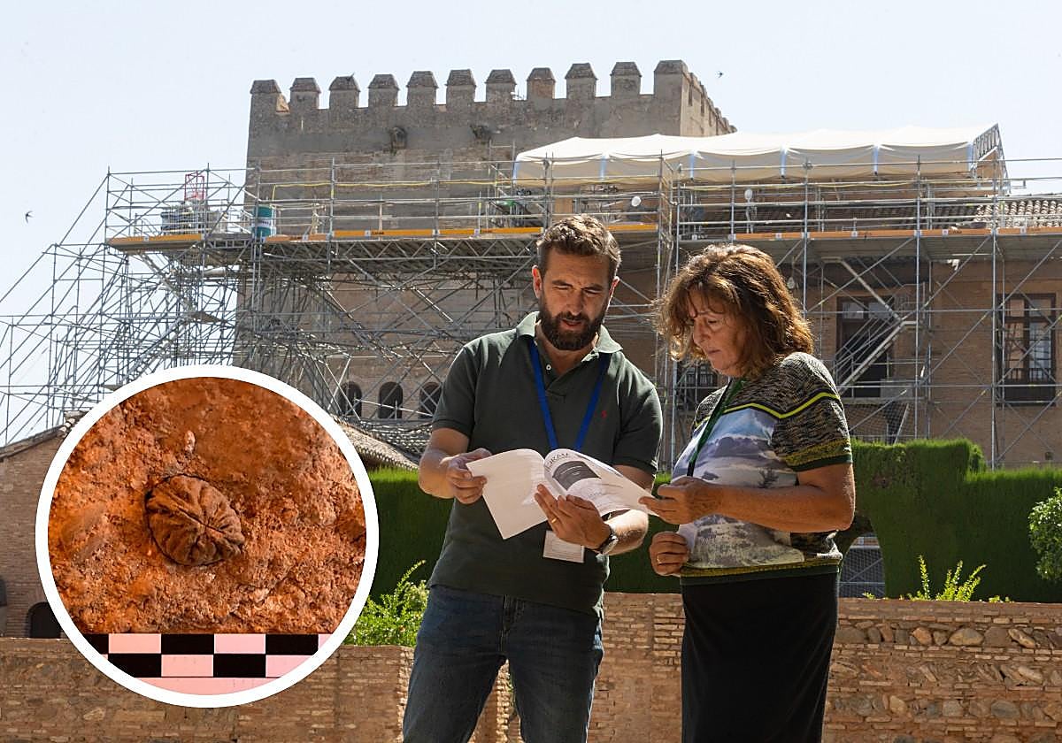 Los arqueólgos de la Alhambra, Fernando Martínez y Paz Gázquez, que trabajan en esta investigación. Y en el círculo, el hueso de melocotón incrustrado en uno de los muros del Mexuar. ideal