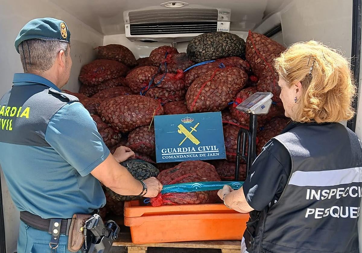 Material incautado por los agentes.