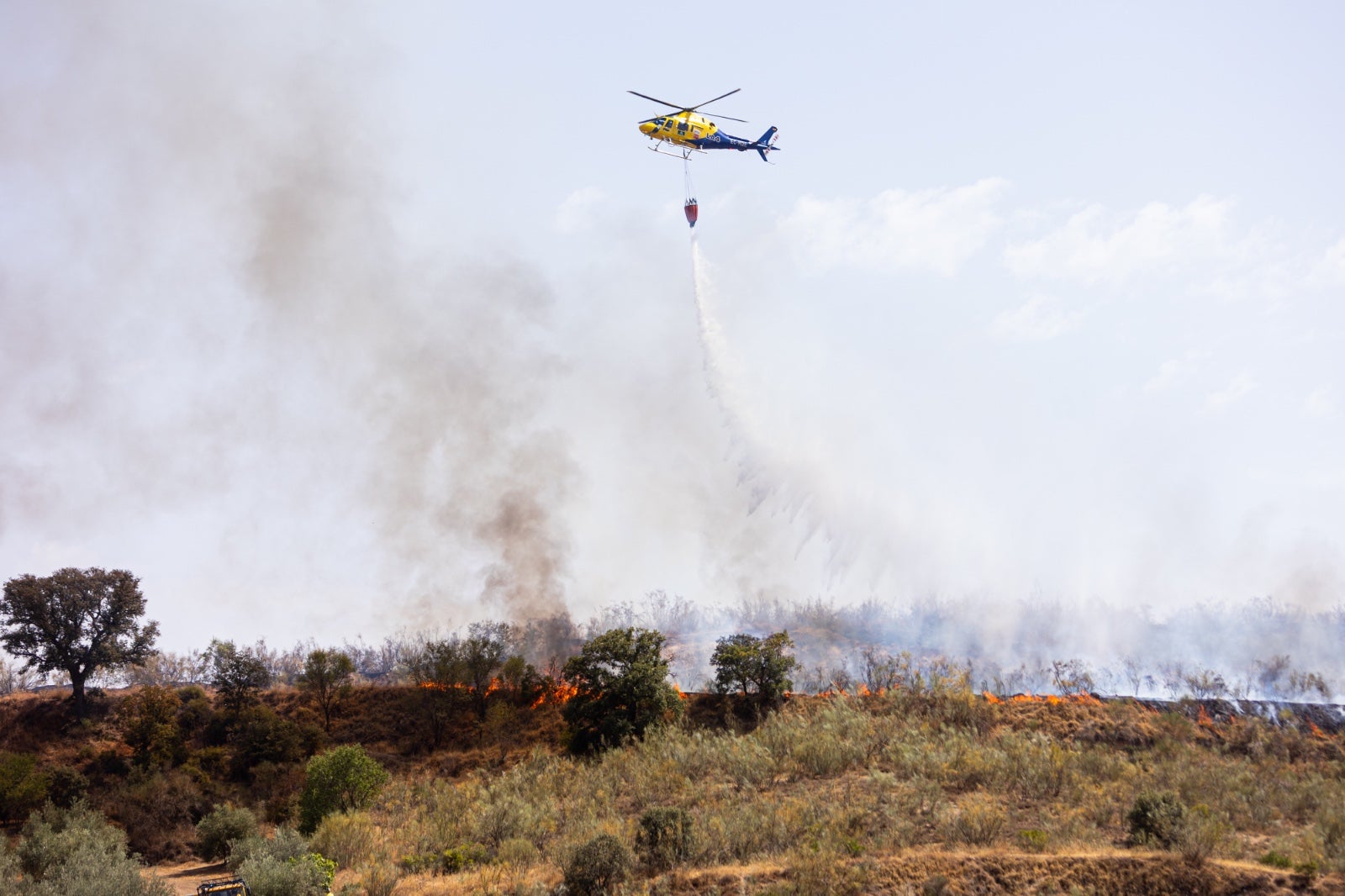Las espectaculares imágenes del incendio declarado en Jun