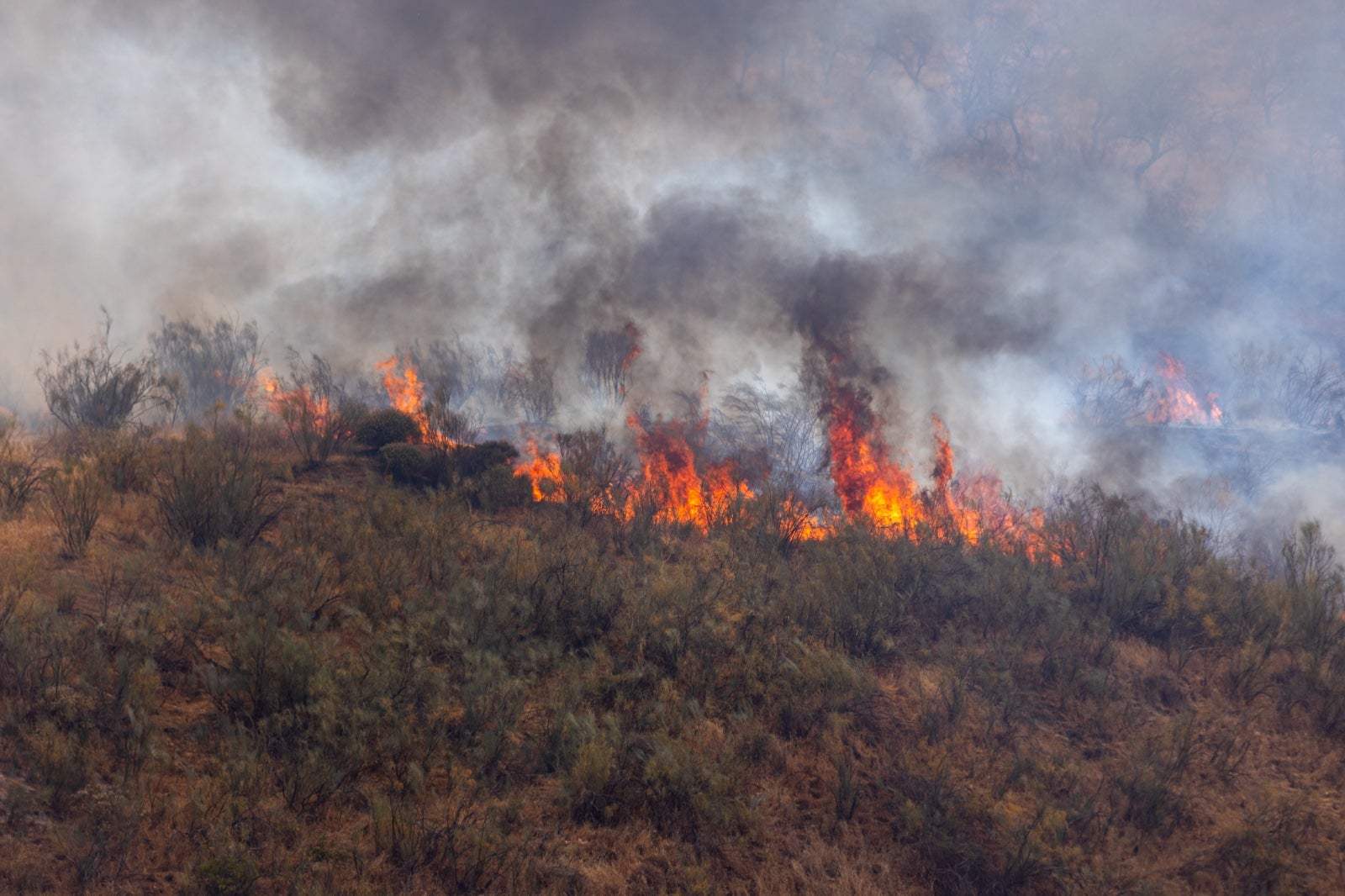 Las espectaculares imágenes del incendio declarado en Jun