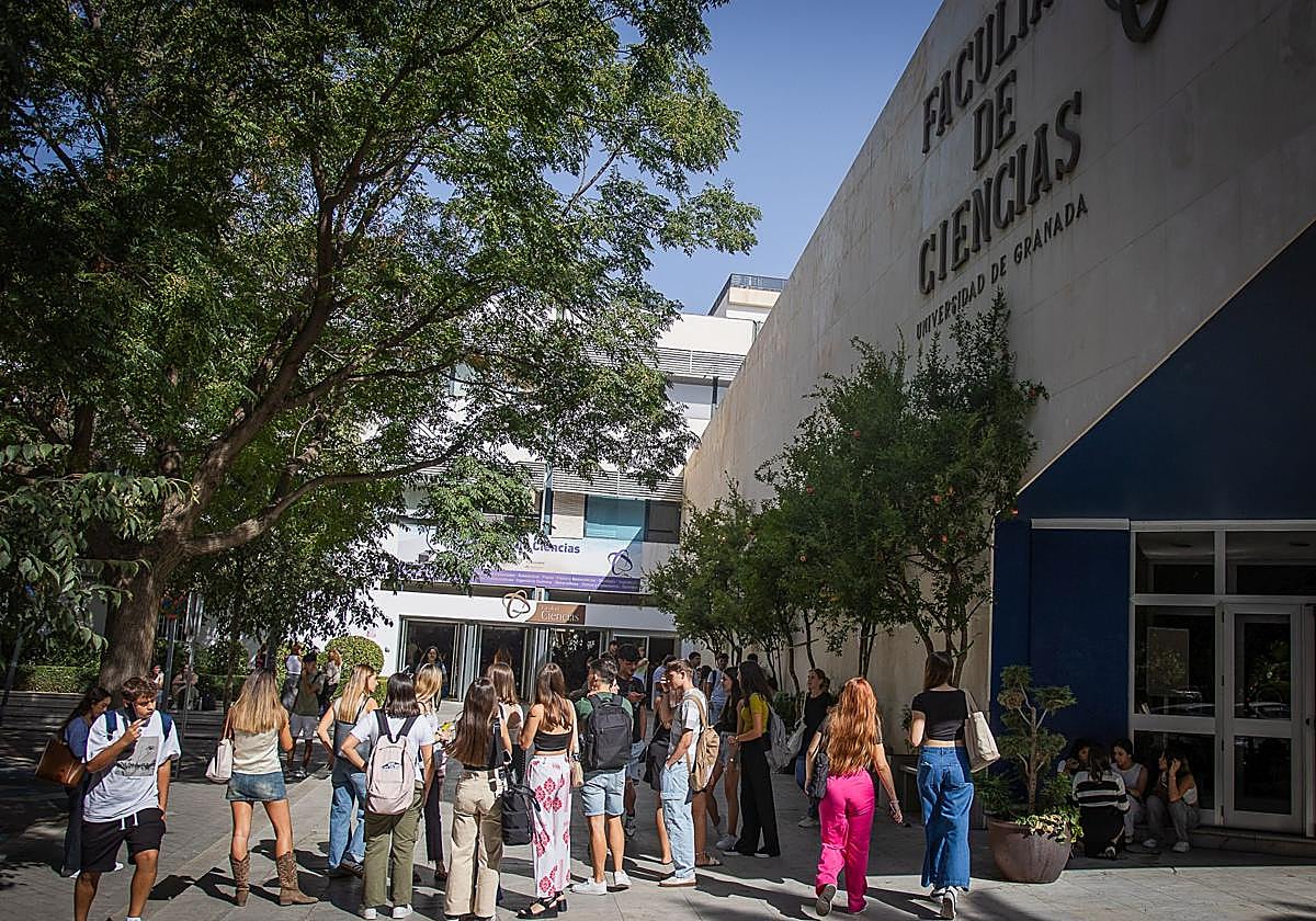 Estudiantes en la Facultad de Ciencias de Granada este curso.