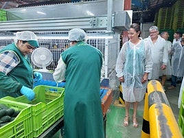 Cohorsan invertirá más de cinco millones de euros en mejorar su maquinaria y ampliar la entidad