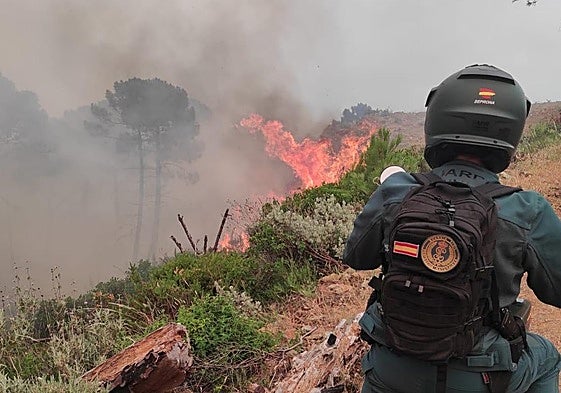 Más de 200 patrullas y 15 fuegos: así actúa el Seprona ante las llamas en Almería