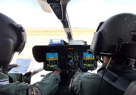 Los nuevos halcones del cielo de Granada