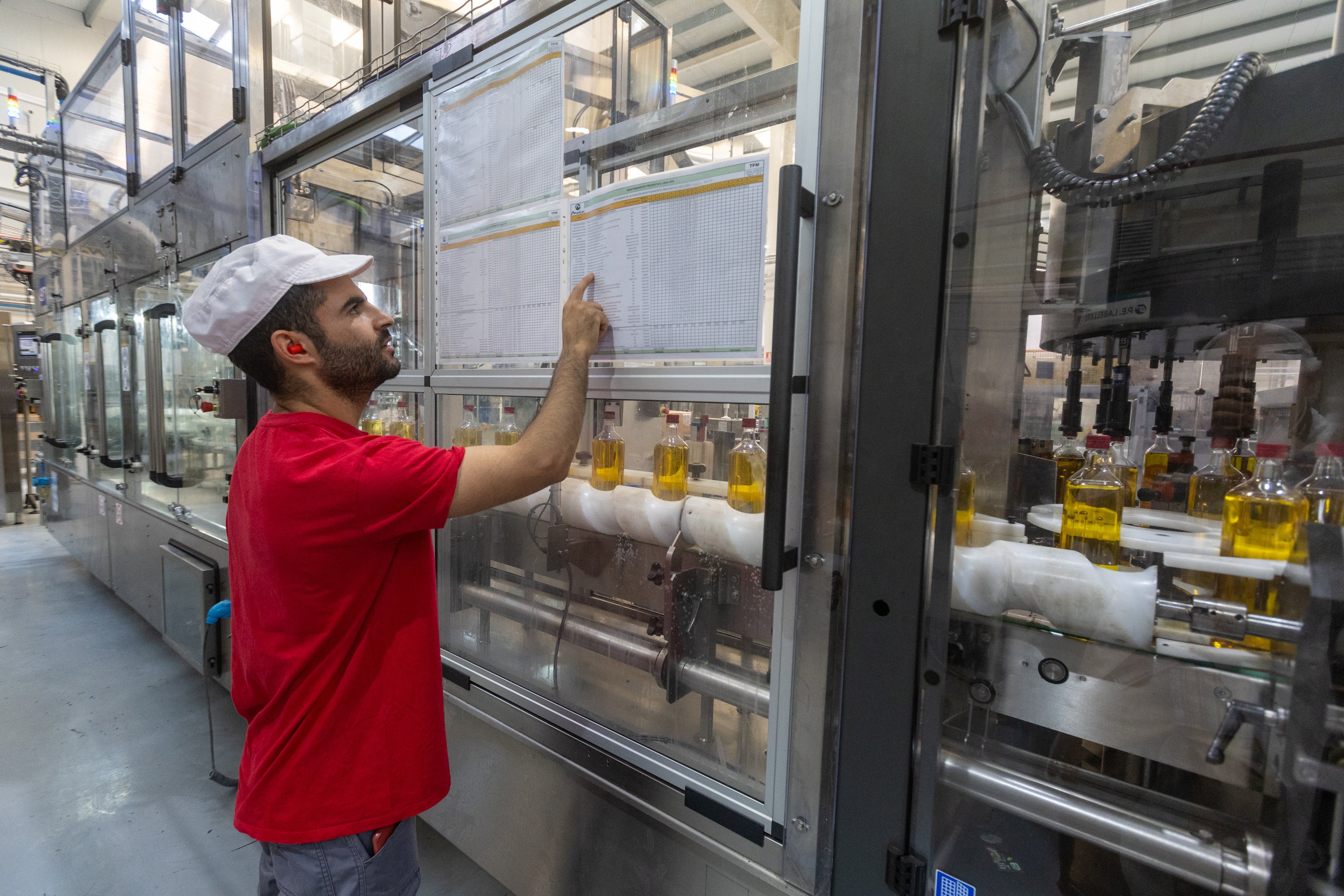 Envasadora de Maeva, una de las mayores empresas granadinas exportadoras de aceite de oliva a Estados Unidos.