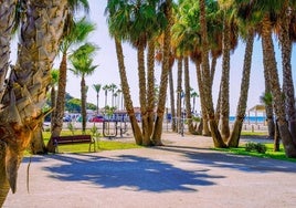 Nuevos espacios en Playa Granada.