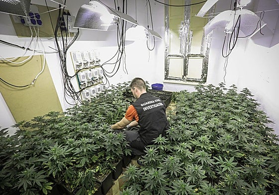 Endesa pide castigar con cárcel el fraude eléctrico para combatir los cortes de luz