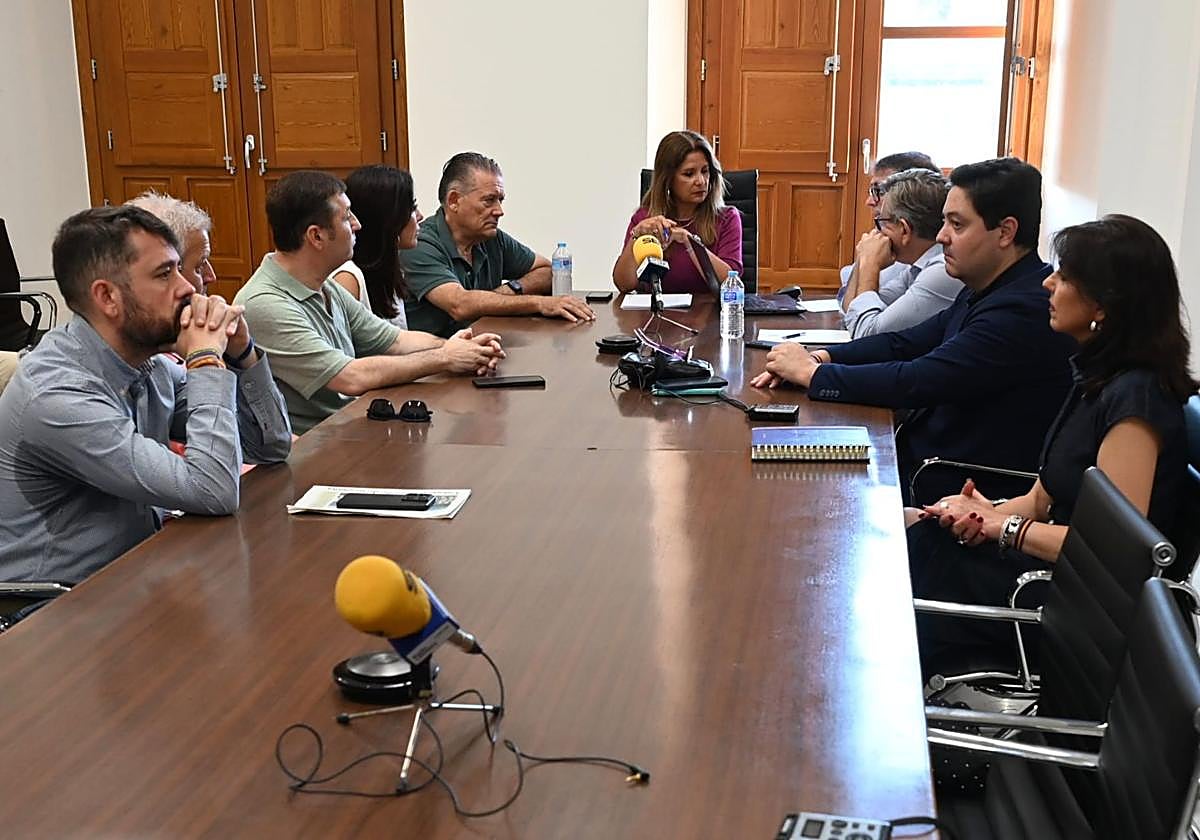 Pleno extraordinario celebrado este miércoles en Linares.
