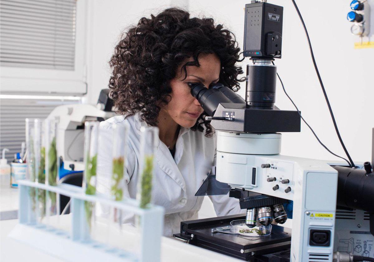 La UGR se consolida en el top 3 nacional en la captación de recursos para investigación