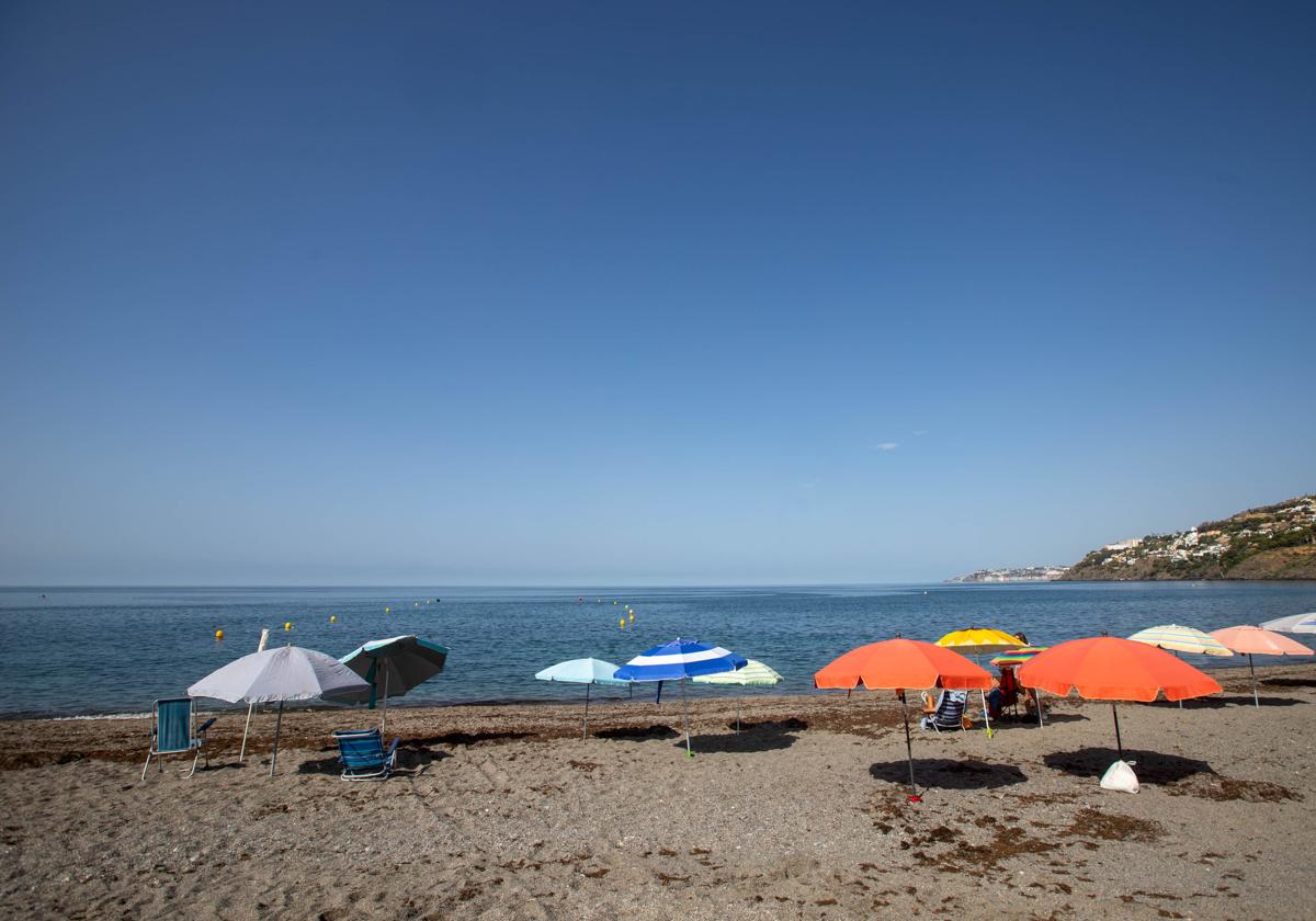 Sombrillas reservando sitio en la playa de La Guardia de Salobreña, una práctica expresamente prohibida.