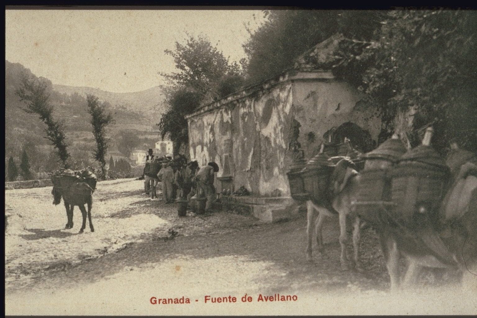 El agua fresca del Avellano era la más demanda en la ciudad