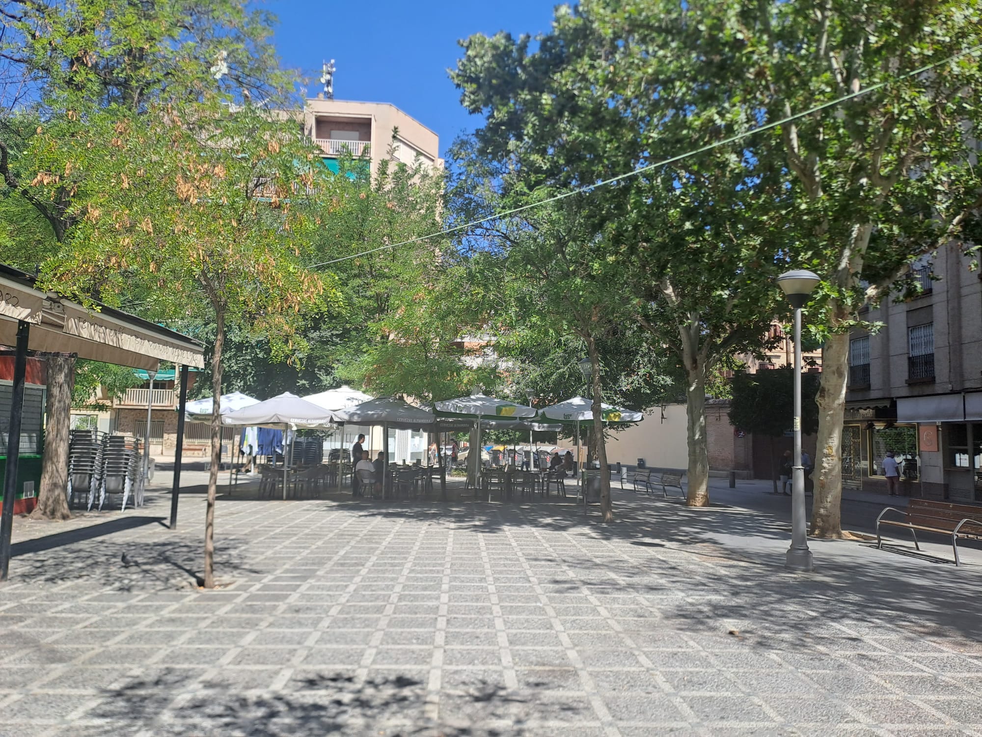 Las imágenes de una Granada desértica con la ola de calor