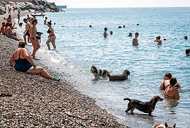 Diez cosas que no puedes hacer en las playas de Almería este verano