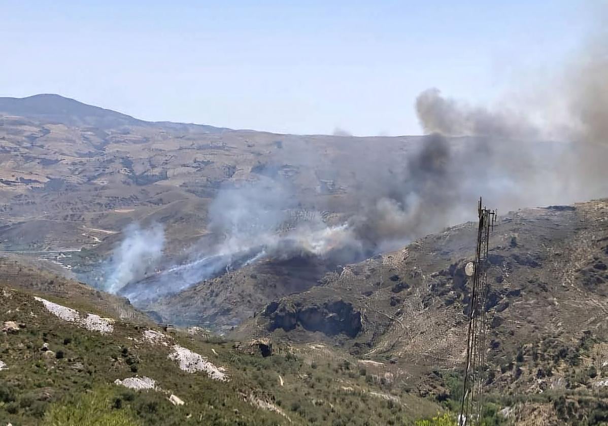 Declarado un incendio forestal en Cádiar, en la comarca de la Alpujarra.