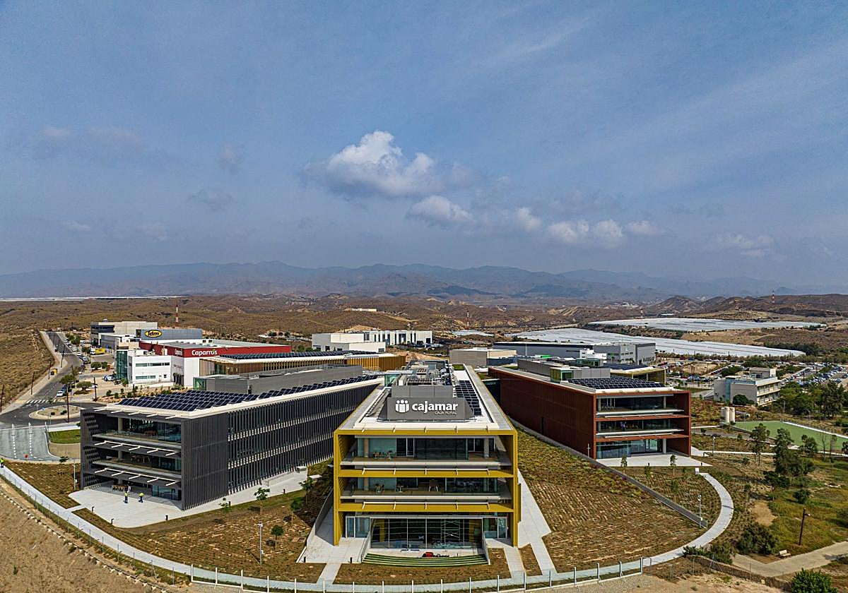 Grupo Cajamar gana 178 millones en el primer semestre por la mejora de la actividad comercial