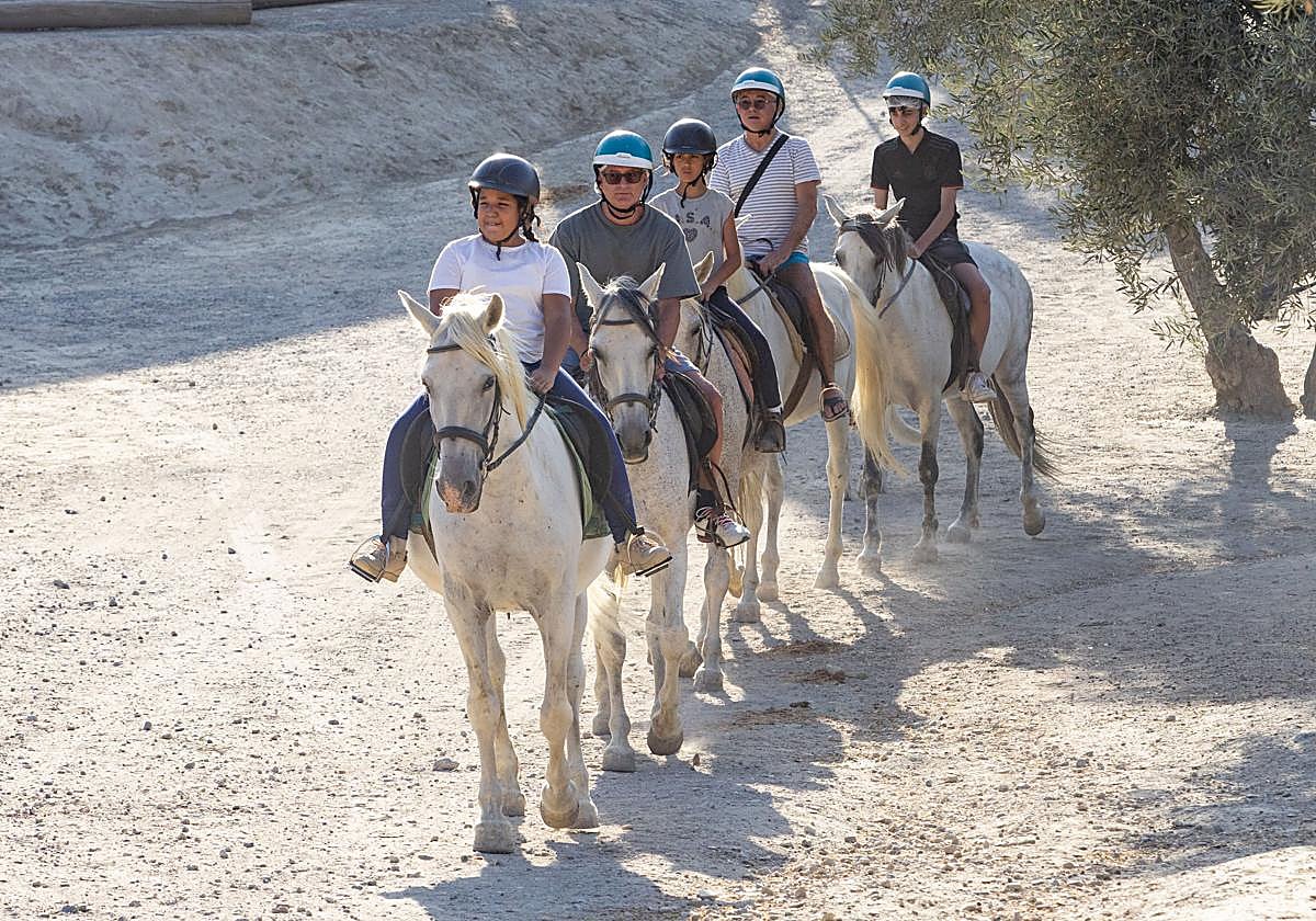 Su finca está conformada por todo tipo de actividades y especies