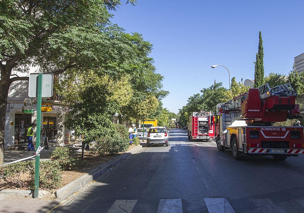 La calle Camino Real de los Neveros en una imagen de archivo.