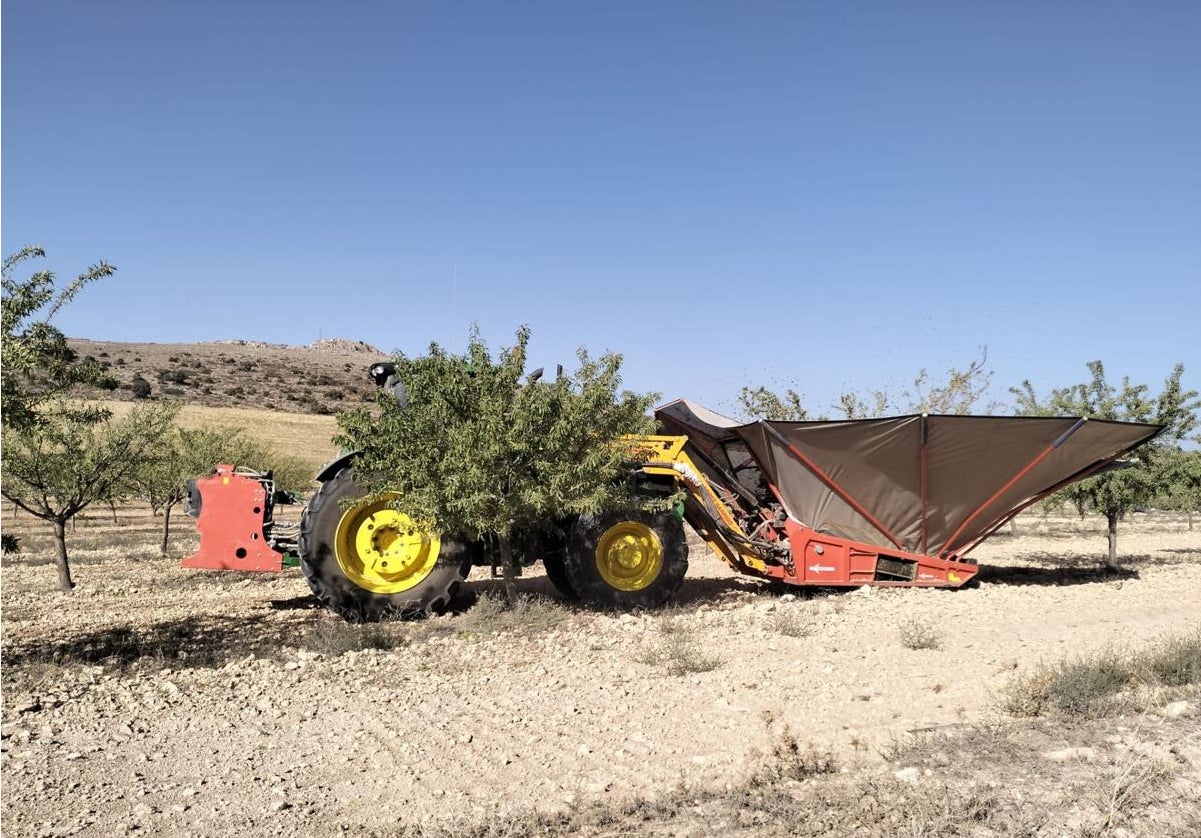 Un tractor en un cultivo de secano en la comarca de Los Vélez.