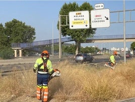 Ayuntamiento de Granada intensifica su plan de desbroce con una actuación en la avenida de Andalucía.