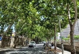 Arbolado en la avenida de Madrid a la altura del antiguo Hospital Clínico