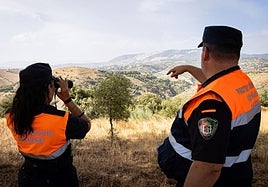 Los operarios vigilan el estado de la vegetación.