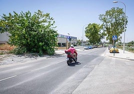 El proyecto incluye nuevas zonas verdes en el polígono El Florío.
