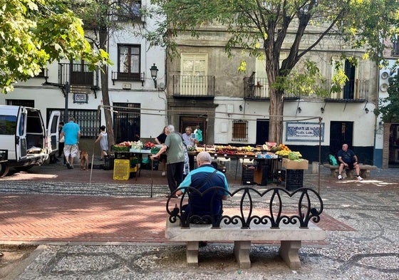 Mercado de fruta en Plaza Larga.