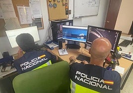 Detenido un joven en Almería por pedir imágenes sexuales a menores a través de Fornite