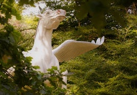 Mi pegaso
