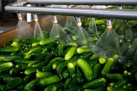 Las exportaciones hortofrutícolas crecen un 11% y superan los 4.555 millones entre enero y mayo de 2025