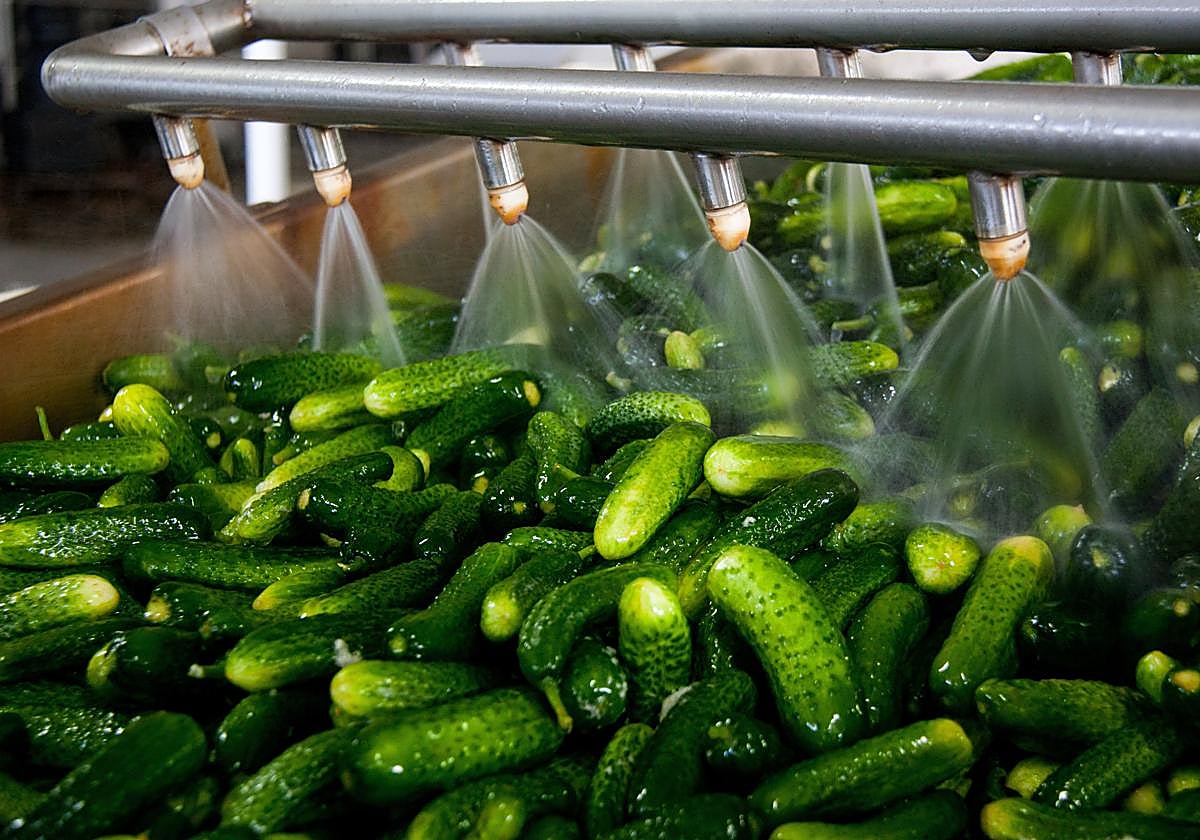 Las exportaciones hortofrutícolas crecen un 11% y superan los 4.555 millones entre enero y mayo de 2025