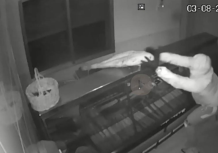 Momento del robo de uno de los jamones en el secadero de Padul.