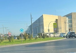 Vehículos policiales en el lugar después de que el conductor estampara el vehículo.